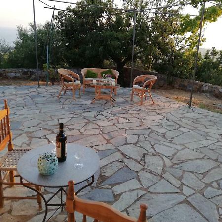 Theasea House With Garden Apartman Rínglia Kültér fotó